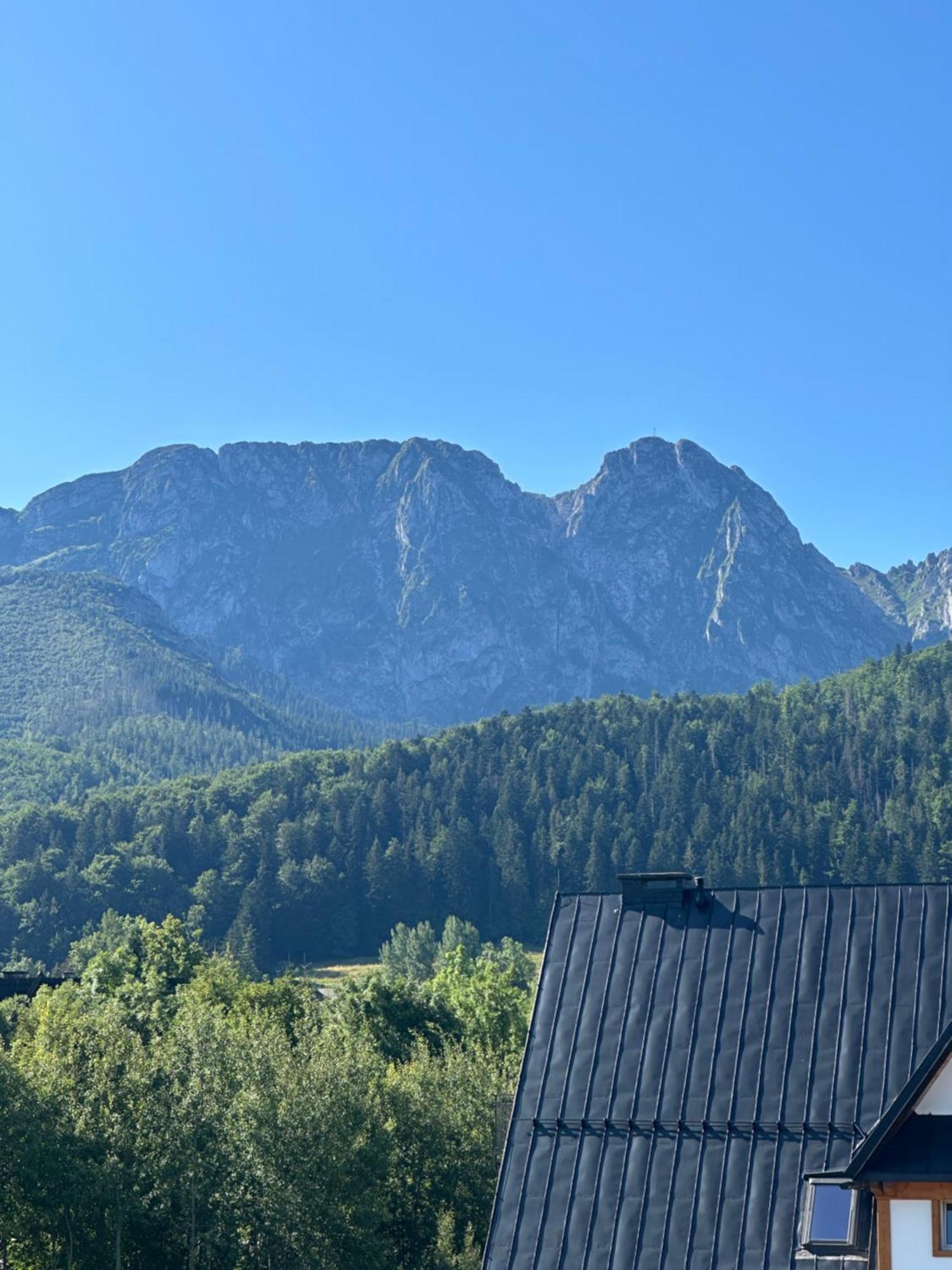 Willa Szafran Zakopane Luaran gambar